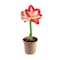 Degroot DeGroot Amaryllis Gift Box Bulb Kit 1 pk AY912A00 - alternate 2
